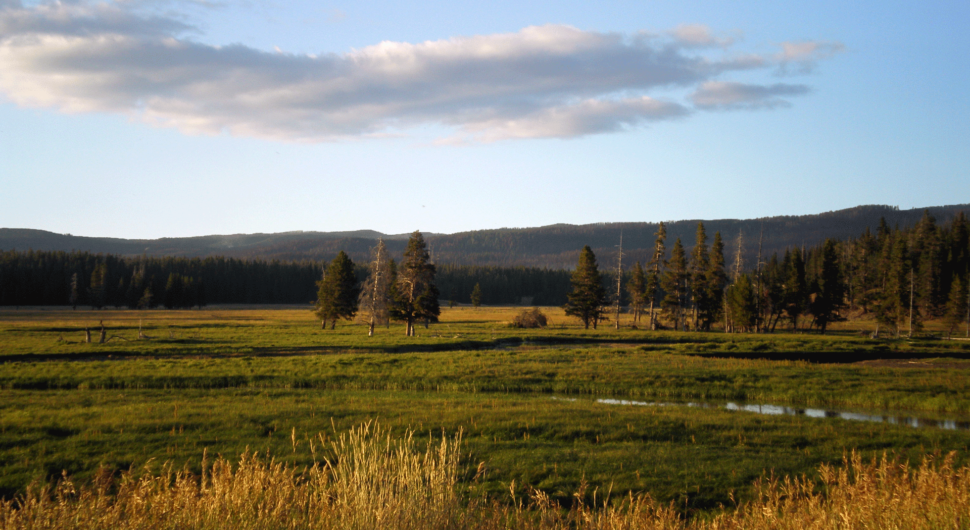 Personal photo of Yellow Stone National Park.